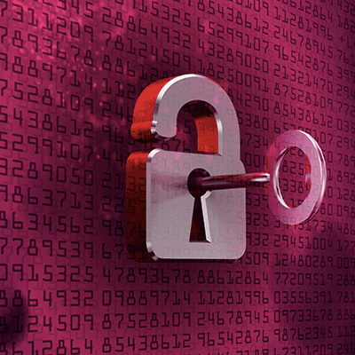 Cyber Security & Network Security Los Angeles